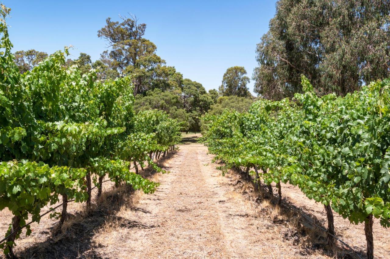 Island Brook Estate Vineyard And Chalets Yelverton Extérieur photo