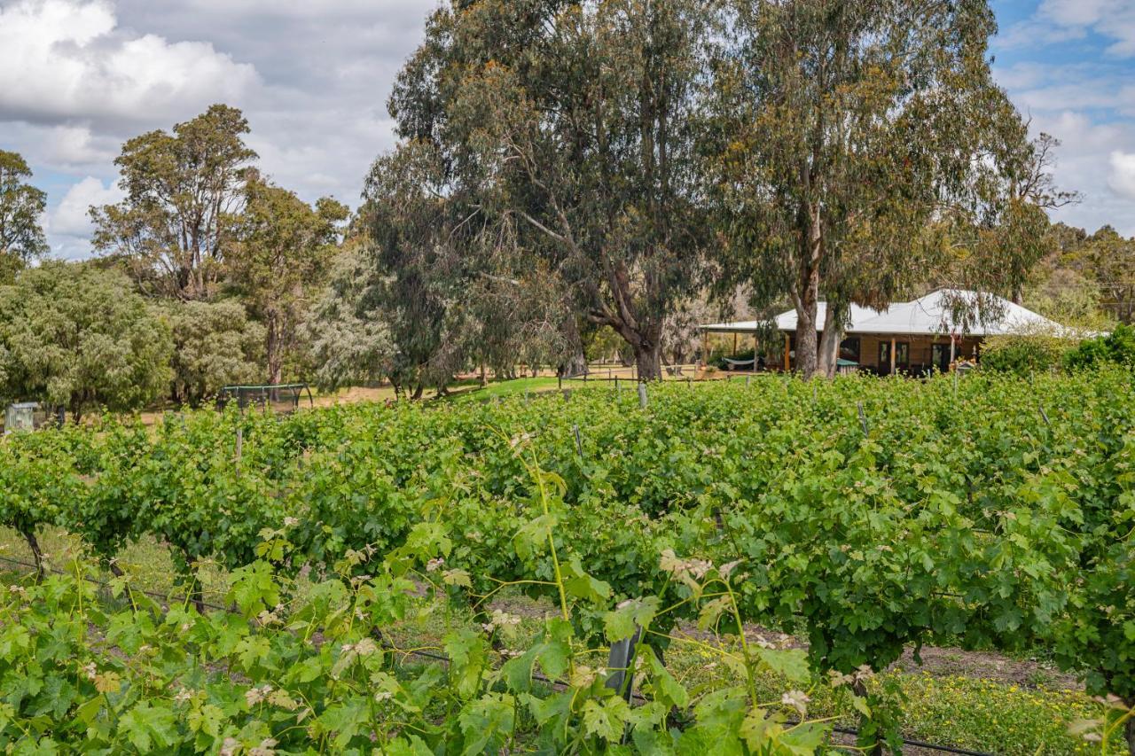 Island Brook Estate Vineyard And Chalets Yelverton Extérieur photo